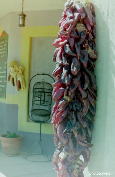 PICT0041