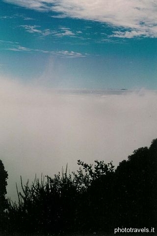 tn_p