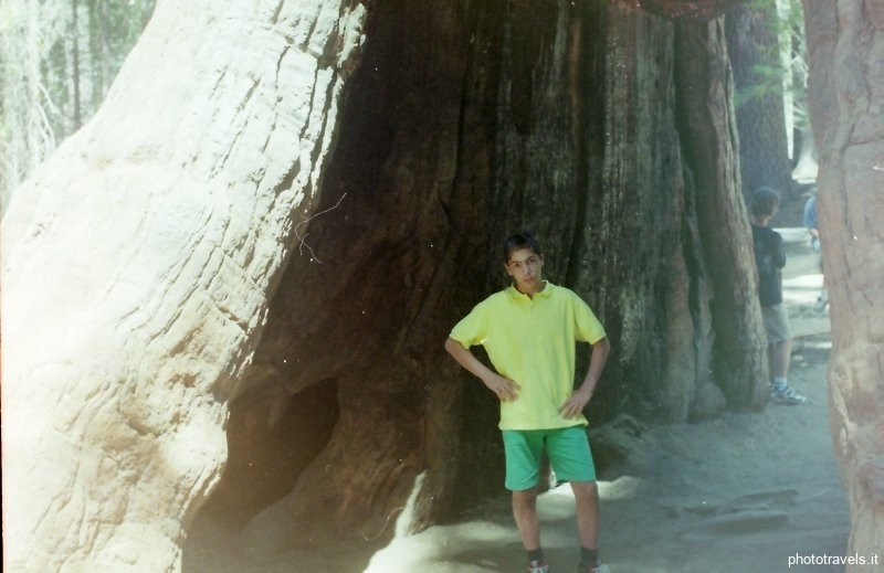 PICT0063